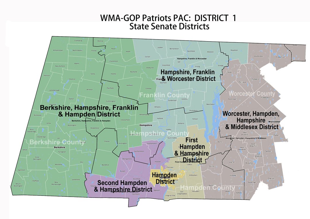 WMA-GOP State Senate Districts